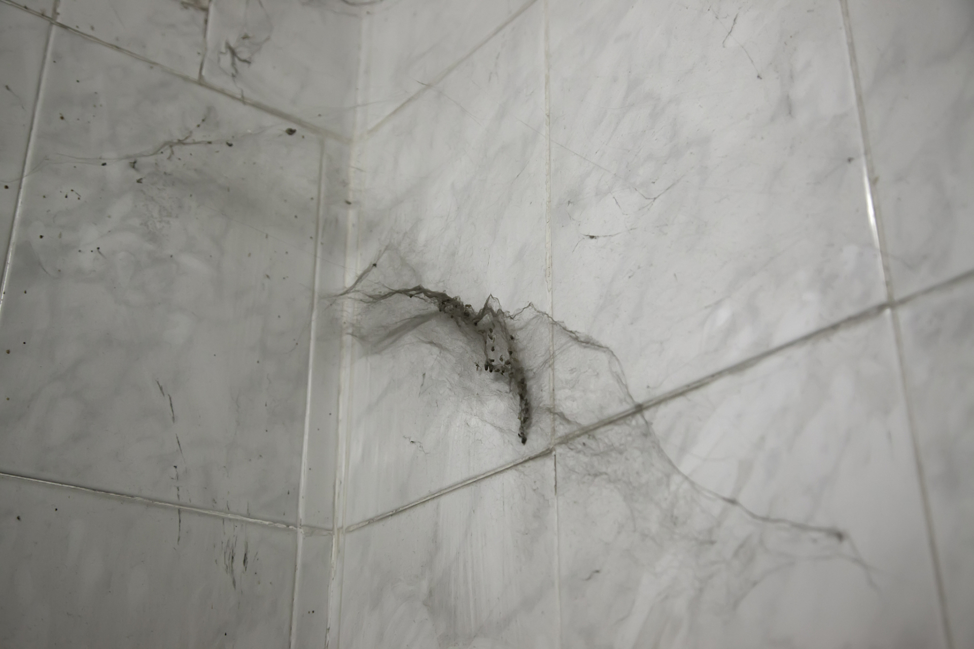 墙砖空鼓怎么处理好呢视频(针对近两年墙砖空鼓的现象的维修方法) 墙砖空鼓怎么处理好呢视频(针对近两年墙砖空鼓的现象的维修方法)